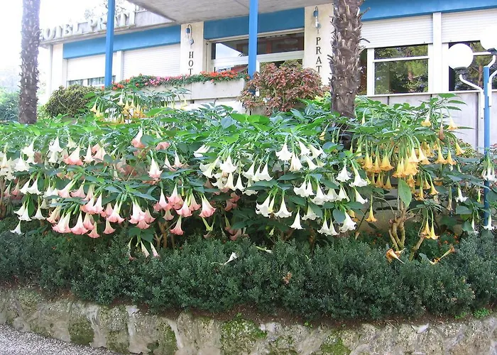 Hotel Prati Castrocaro Terme